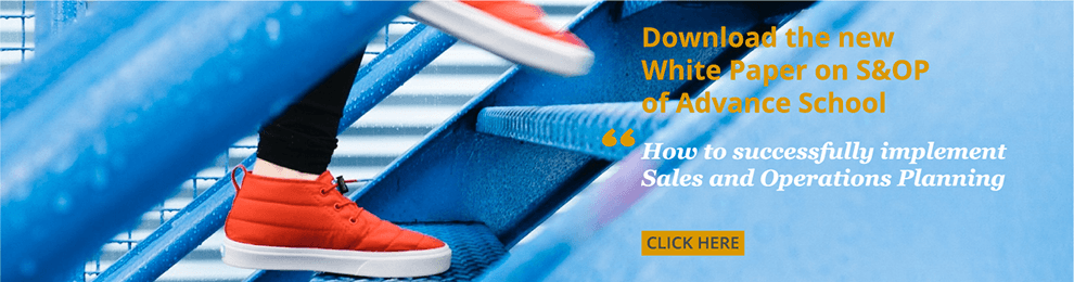 Scarica il White Paper su S&OP di Advance